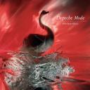 dm-speak-spell-cover.jpg