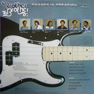 Brother to Brother - Shades in Creation Cover Back LP