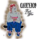 calexico feast of wire cover