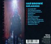 Ian Brown-Solarized_Cover back