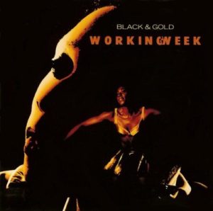 Working Week - Black & Gold Cover Front