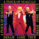 A Flock of Seagulls Dream come True Cover front