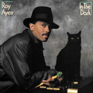 Roy Ayers-In the Dark Cover front