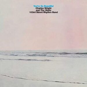 Charles Wright-You're so beautiful Cover front