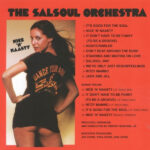 Salsoul Orchestra-Nice n Nasty Cover back CD 2013