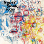 Pucho and The Latin Soul Brothers-Super Freak Cover front