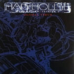 Harthouse-Chapter 4 Global Virus Cover front LP